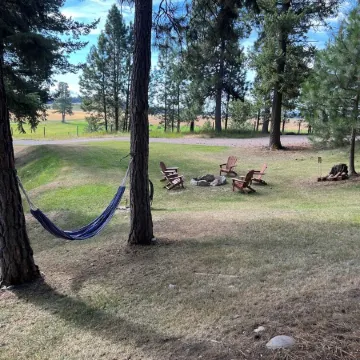 Cozy and charming little cabin nestled up in the trees ,in columbia falls MT