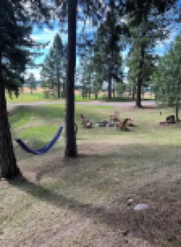 Cozy and charming little cabin nestled up in the trees ,in columbia falls MT