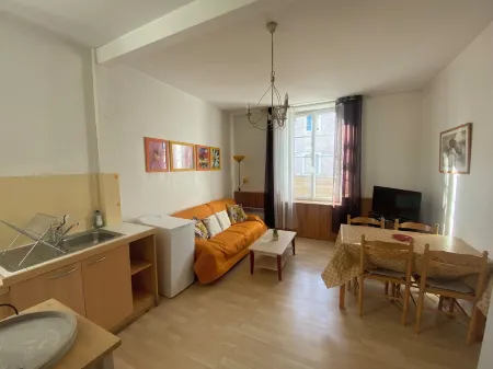 MONNET F2 ground floor apartment 200 metres from the thermal baths