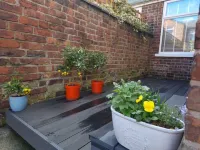 Gorgeous Edwardian Terrace