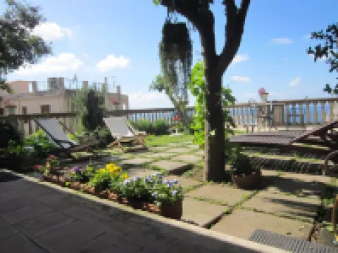 Amaca in a Green Garden