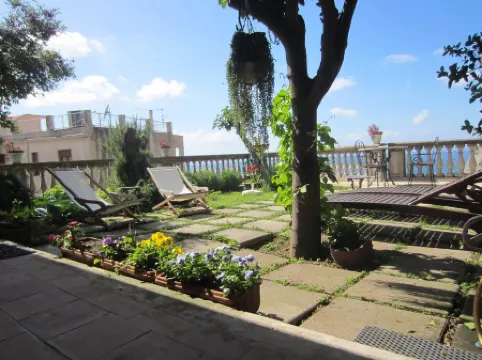 Amaca in a Green Garden