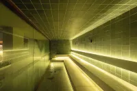 Pyrenéus公寓 - Gav度假村 - SPA