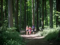 Monastery Retreat in Blossoming Limburg - Wifi