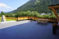 Apartment in Flachau near Salzburg Alps - Wifi