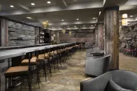 Crowne Plaza Resort ASHEVILLE by IHG - Bar