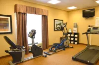 Holiday Inn Express & Suites SIDNEY by IHG - Gym
