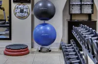 Hotel Alpenrock Breckenridge, Curio Collection by Hilton - Fitnessstudio