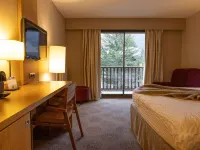 Hotel Mercure de Saint-Lary Hotels in Hautes-Pyrenees