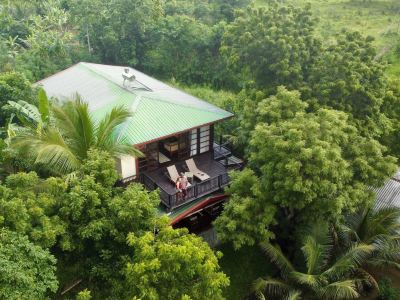 Jungle Paradise
