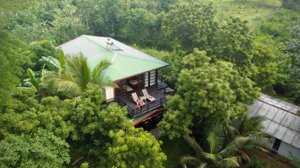 Jungle Paradise