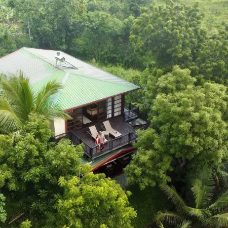 Jungle Paradise
