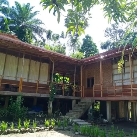 Bua Guest House Tangkahan