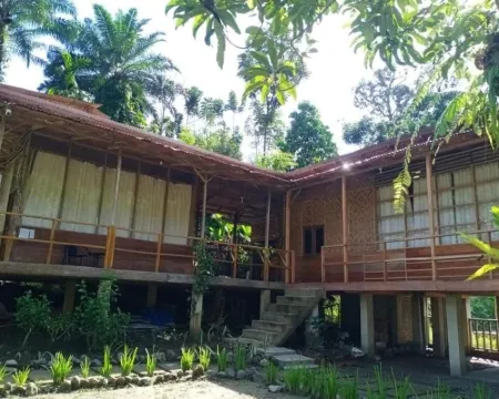 Bua Guest House Tangkahan Hotels in Langkat Regency