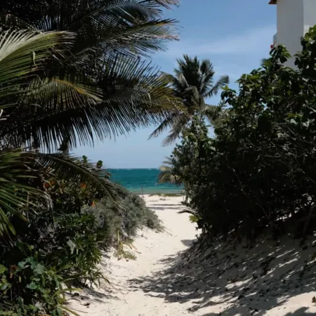 Greta Puerto Morelos