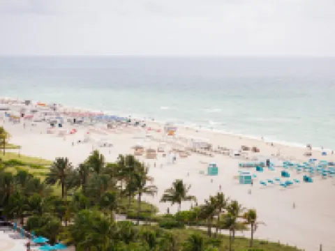Loews Miami Beach Hotel Hotels in Miami Beach