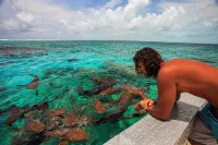 Charming & Spacious 2-bedroom Apartment Near Ocean-Starfish Villa