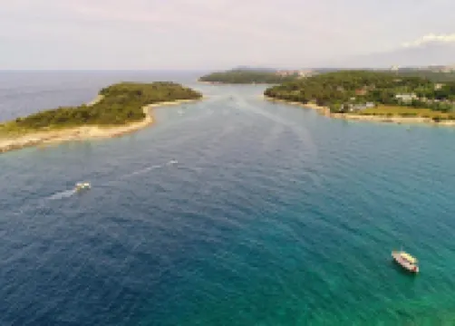 Apartment With Terrace & Lovely Garden