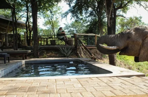 Khanya Tented Camp - Campingplätze