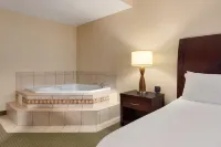 Hilton Garden Inn Dulles North - Badekar