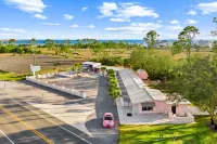 The Pink Flamingo Boutique Motel - Pools