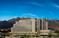 MS Milenium Monterrey, Curio Collection by Hilton - بوتيك