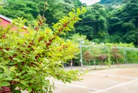 Gwangju 2 Days 1 Night Pension