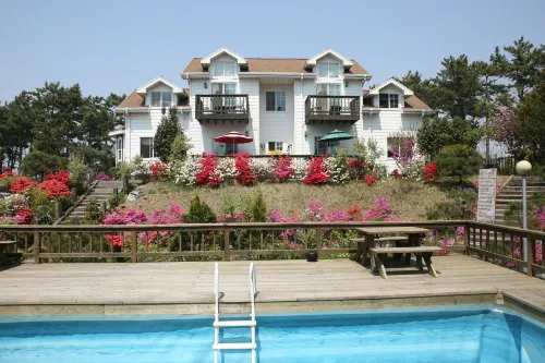 Taean Blueberry Pension - Pet friendly