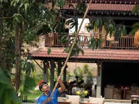The Community - Siem Reap Hotels near Sokha Convention Center