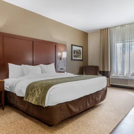 Comfort Suites Johnson City Near University