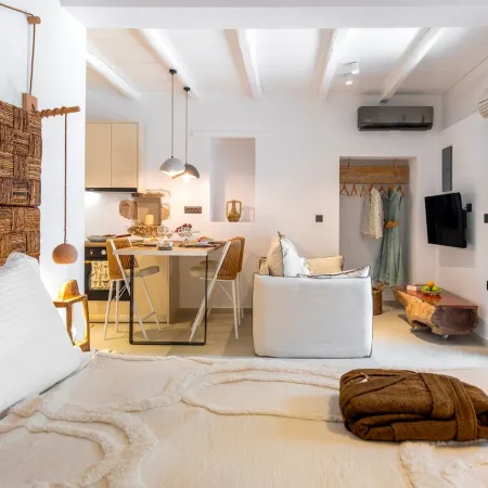 stema suite 1