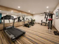 Golden Tulip Kukas Jaipur - Gym