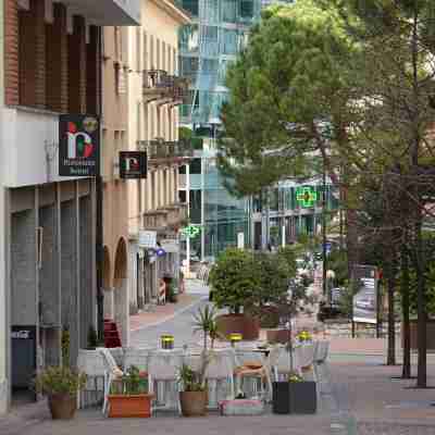 Central Apartment Guisan in Paradiso Others