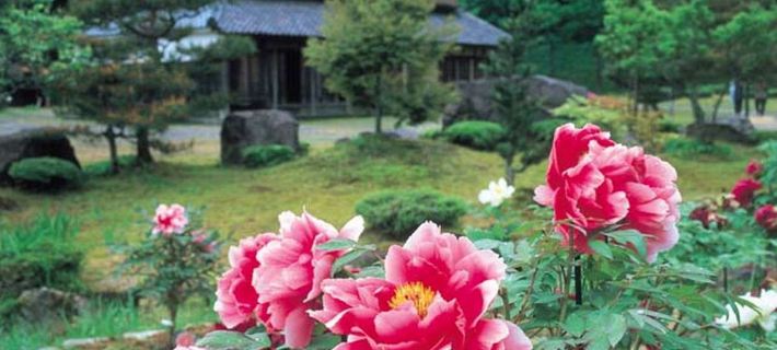 Takasuso Các khách sạn ở Fukui