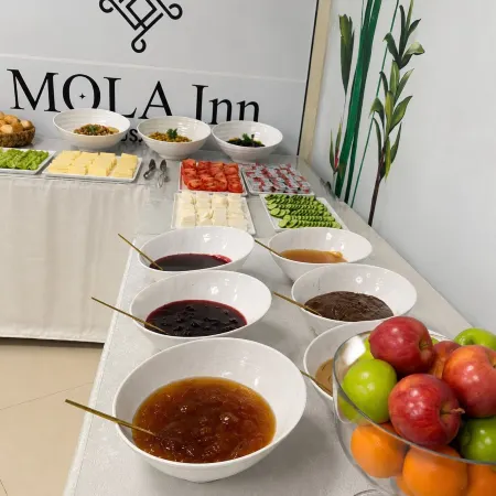 MOLA INN