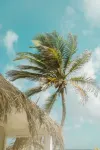 Sorobon Luxury Beach Resort - Havudsigt