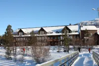 Hovdestøylen - bar