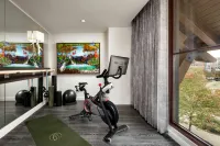 Grand Bohemian Lodge Greenville, Autograph Collection - Gym