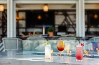 Coronado Island Marriott Resort & Spa - bar