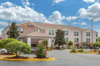 Comfort Suites Hotels in Cordova