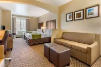 Comfort Inn & Suites Galt - Lodi North - spa