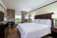 Hilton Garden Inn West Palm Beach Airport - Pet friendly