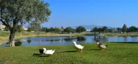 Bonalba Golf Resort Hotels in Jijona