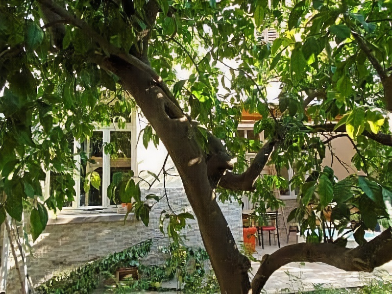 Lotus Garden Hostel Izmir