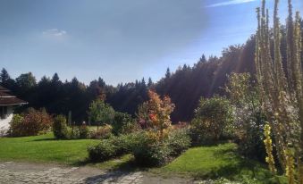 Comfortable 5 Star Apartment at the Bavarian Forest National Park, 6 Guests