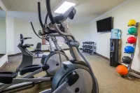 Holiday Inn MOBILE-DWTN/HIST. DISTRICT by IHG - Gym