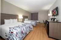 Red Roof Inn Petersburg - Fort Lee Hotels in Rives