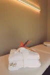 黛安娜花園 Spa 酒店 - SPA