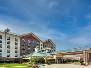 Hilton Garden Inn Houston/Sugar Land