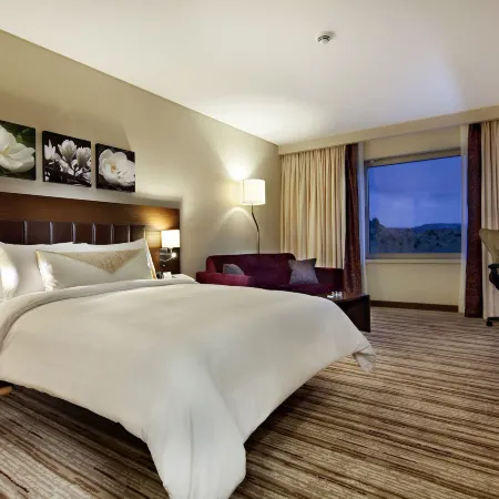 Hilton Garden Inn Konya
